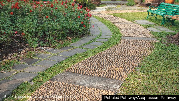 Reflexology Pathways